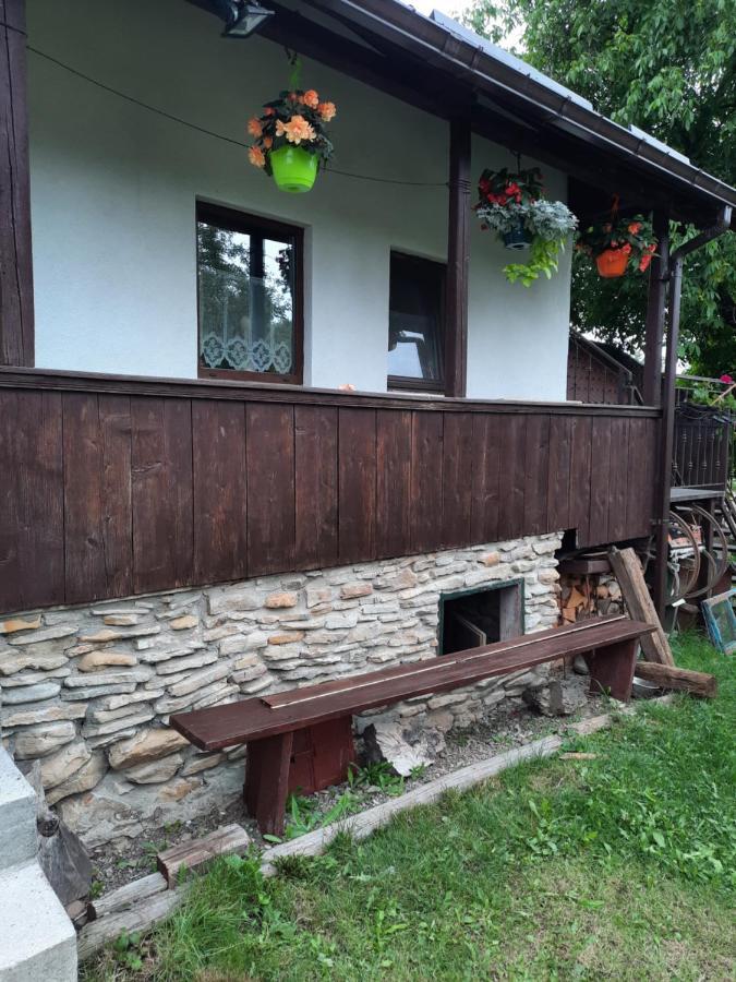 Villa Casa Bunicilor Ciprian Porumbescu Exterior foto