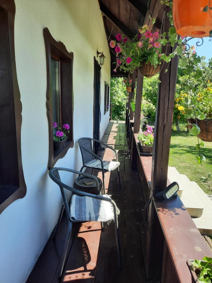 Villa Casa Bunicilor Ciprian Porumbescu Exterior foto