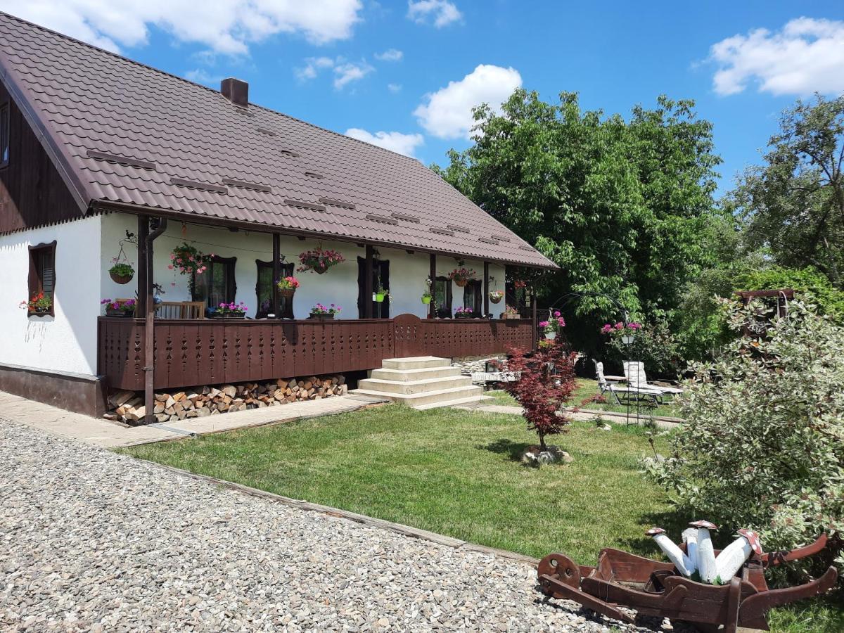 Villa Casa Bunicilor Ciprian Porumbescu Exterior foto