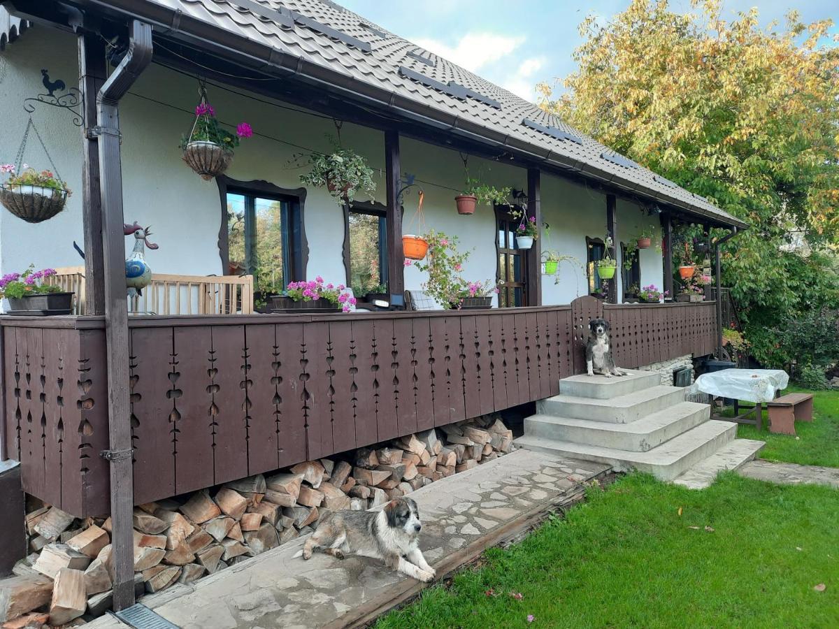 Villa Casa Bunicilor Ciprian Porumbescu Exterior foto