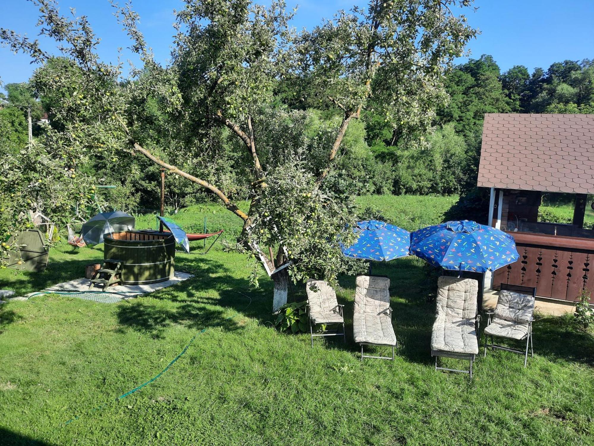 Villa Casa Bunicilor Ciprian Porumbescu Exterior foto